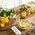 Komplet 6 talerzy obiadowych Lemon 27 cm