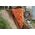 THERMAL INSULATION POLYNOR EKO SPRAY 750