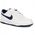 Buty Nike Big Low 355152-140