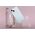 Θήκη για Apple iPhone 16 Plus 6.7" MyScreen REVO CLEAR CASE MagSafe