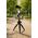 Selfie stick Xqisit XQISIT Social Media Recording Kit black