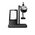 Wh66 Dect Wireless Headset