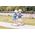 ScootAndRide Kask dla dzieci 1-5 lat Rose r. XXS-S (96323)