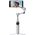 Insta360 Flow 2 Standard Bundle / Stone Gray