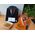 COBBO WIELOFUNKCYJNY ROBOT KUCHENNY COBBO 7 BLACK