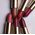 L'OREAL_Color Riche Satin szminka do ust 300 Le Rouge Paris  4,7g