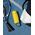 Butelka filtrująca Wessper B2 GLASS Actitex™ 700ml Yellow (WES270-700-YL_K)