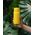 Butelka filtrująca Wessper B2 GLASS Actitex™ 700ml Yellow (WES270-700-YL_K)