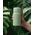 Butelka filtrująca Wessper B2 GLASS Actitex™ 500ml Mint (WES270-500-MT_K)