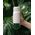 Butelka filtrująca Wessper B2 GLASS Actitex™ 500ml White (WES270-500-WH_K)