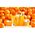 Rodial, Vit C, Brightening, Cleansing Gel, For Face, 20 ml For Women