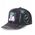 Capslab DC Comics Joker Cap CL-DC-TAG-1-JOK Czarne One size
