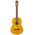 Ibanez GA3-OAM guitar