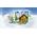 Klocki Minecraft 21280 Kalendarz adwentowy: Minecraft