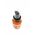 Freshly Cosmetics Golden Radiance Body Oil