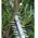 Cordless hedge trimmer MAKITA UN001GZ 40V MAX XGT