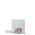 Vacuum cleaner film Electrolux EVSR1, 28X600 cm, 2 pcs.