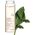 Clarins Velvet Cleansing Milk