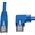 Tripp Lite N204-003-BL-RA kabel sieciowy Niebieski 0,91 m Cat6