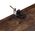Regał na książki rustykalny brąz 70x24x190 cm loft 6 półek