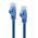 ALOGIC 0.5M BLUE CAT6