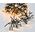 Lampki choinkowe Christmas decoration LAMPKI CHOINKOWE ŁAŃCUCH ŚWIETLNY 1152 LED TIMER CIEPŁY BIAŁY