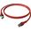 EasyLan DualBoot® PushPull Patch Cable Cat.6A (Class EA), S/FTP, RJ45 / RJ45, czerwony, 1,5 m