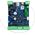 Moduł komunikacyjny LTE 2G/4G, 12V/DC, BasicLTE Ropam