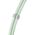 CABLE USB-C TO USB-C 1.65M/LANYARD GREEN 7991007 INTENSO