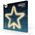 Neon LED CHRISTMAS PENTASTAR warm white FLNE22 Forever Light