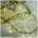 String Light GREEN TWIG CLF-01 600LED yellow 6m + 5m cable Forever Light