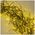 String Light GREEN TWIG CLF-01 600LED yellow 6m + 5m cable Forever Light