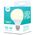 LED Bulb E27 G95 10W 230V 3000K 950lm Forever Light