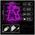Neon LED Light CAT pink Bat + USB FLNEO4 Forever Light