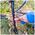 Bikes kickstand Forever Outdoor