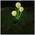 SUNARI Solar Lamp LED FLS-95 Garlic flower 3000K 600mAh Li-Ion Forever Light 5907457717480
