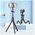 Selfie Stick Tripod Flexible Bluetooth Tech-Protect L07S black 5906203691258
