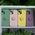 Finger Grip case for Samsung Galaxy A35 5G pink 5907457753662
