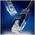 UGREEN Ethernet RJ45 Flat Network Cable, Cat.6, UTP, 8m (Black) 6957303851775