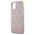 Original Case IPHONE 11 Guess Hard Case 4G Stripe (GUHCN61G4GLPI) pink 3666339016210