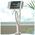 AWEI 4" - 10.5" Long Arm Desk Holder (X3) white 6954284052986