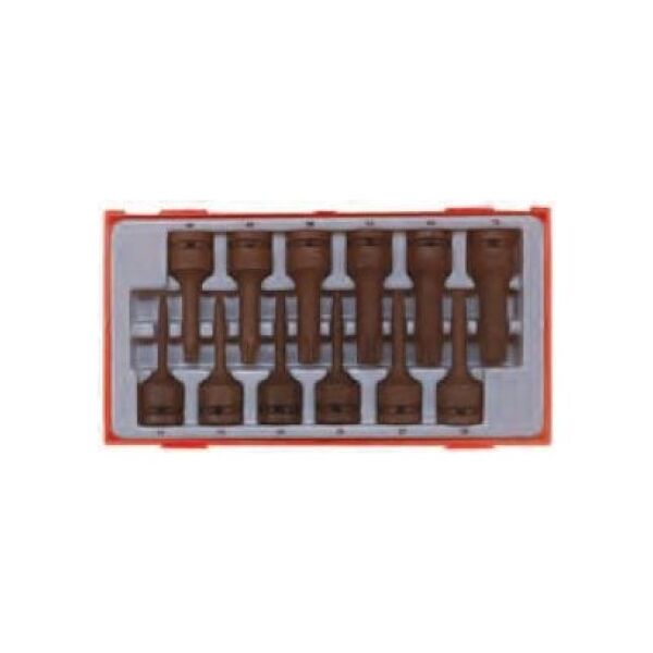 Teng Tools Zestaw grotów maszynowych 12szt. (128130101)