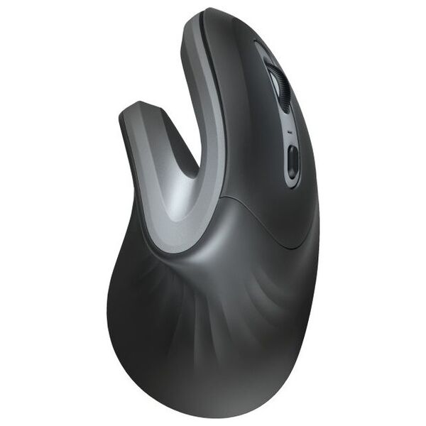 Mysz Trust Verro Wireless Ergonomic (23507)