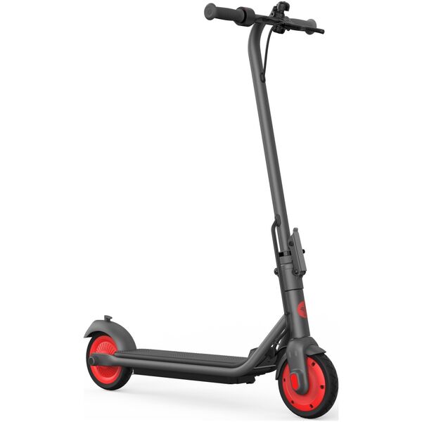 Hulajnoga elektryczna Segway Zing C20