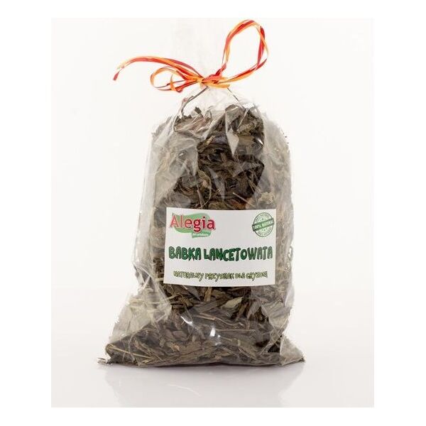 Alegia BABKA LANCETOWATA 100g