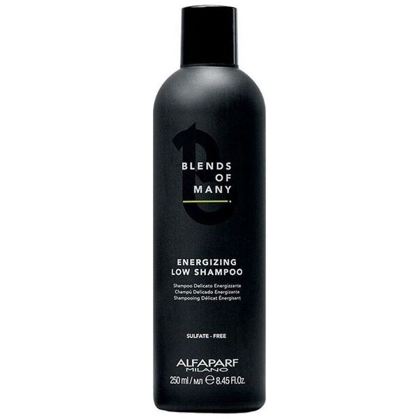 Alfaparf Blends Of Many 250ml