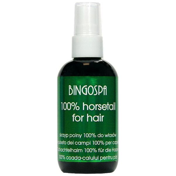 BingoSpa Skrzyp polny 100% BingoSpa