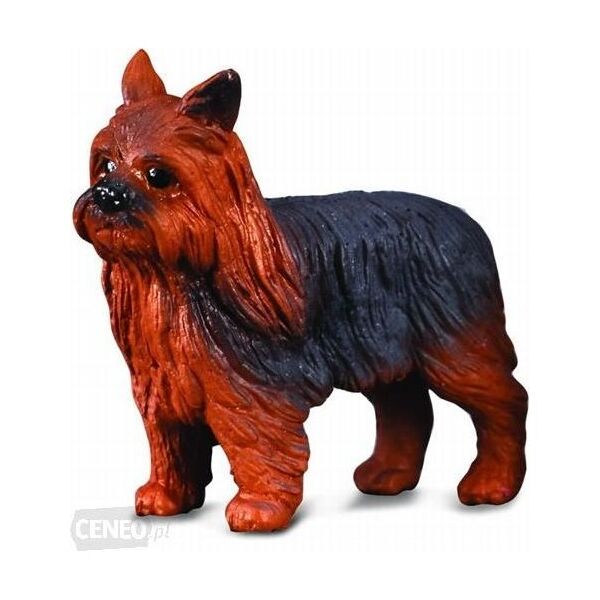 Figurka Collecta Pies Yorkshire Terier