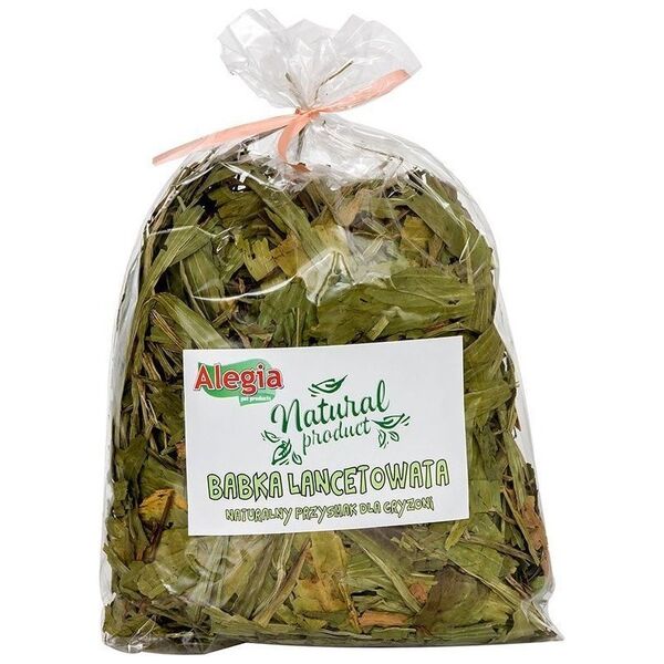 Alegia ALEGIA Babka Lancetowata 300g
