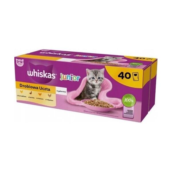Whiskas WHISKAS Mokra Karma dla kota Gal Junior Drób 40x85g